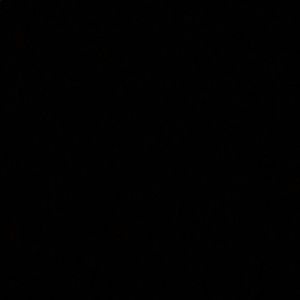 Meet your Posher, Madi